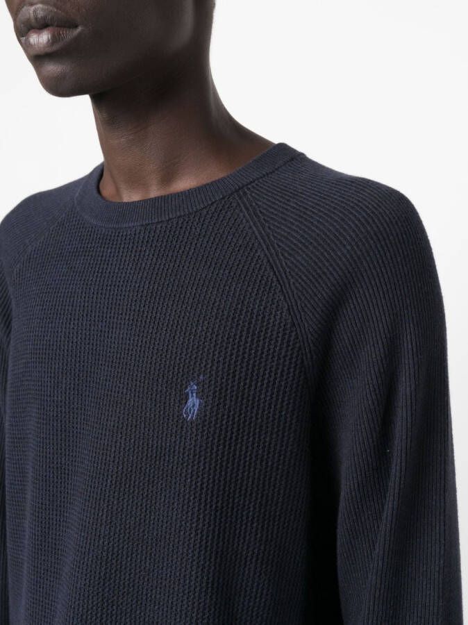 Polo Ralph Lauren Sweater met geborduurd logo Blauw
