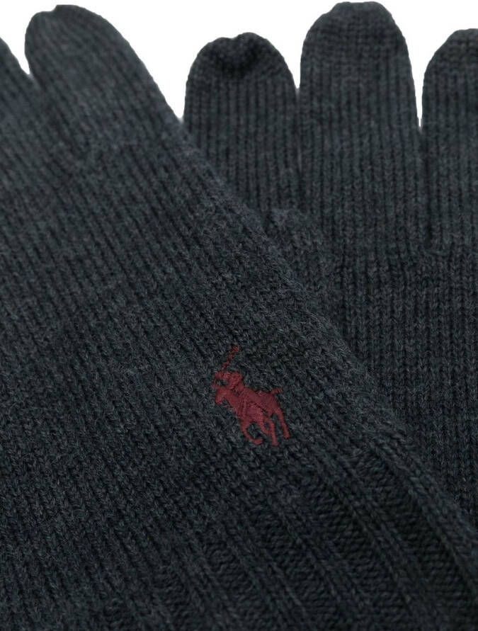 Polo Ralph Lauren Handschoenen met geborduurd logo Grijs