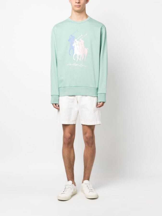 Polo Ralph Lauren Sweater met logoprint Groen