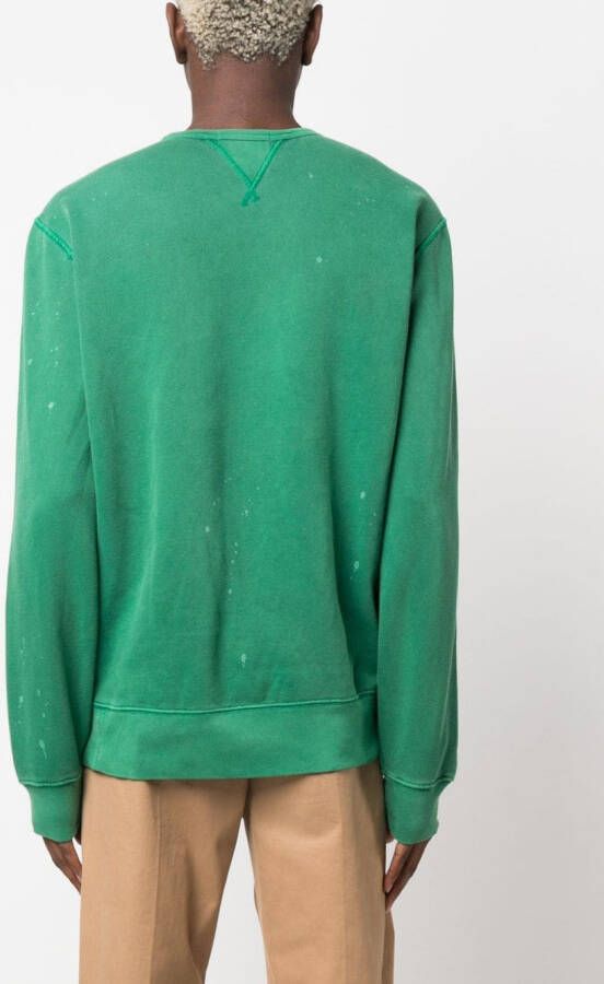 Polo Ralph Lauren Sweater met print Groen