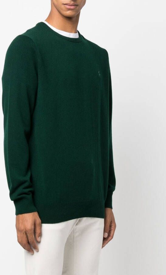 Polo Ralph Lauren Trui met borduurwerk Groen