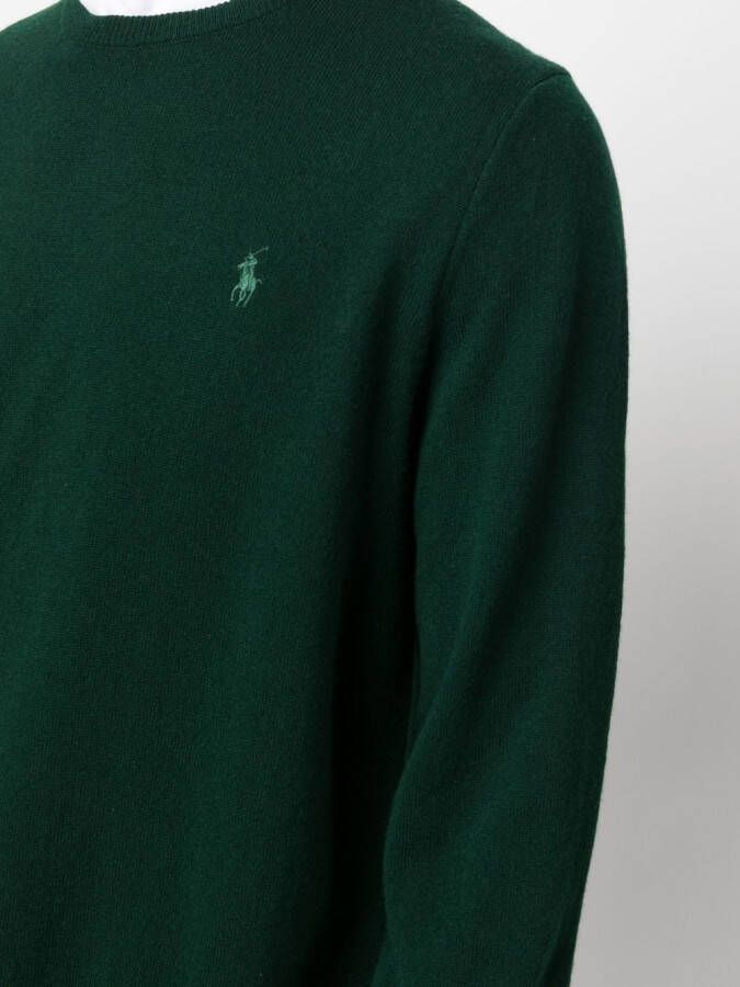Polo Ralph Lauren Trui met borduurwerk Groen