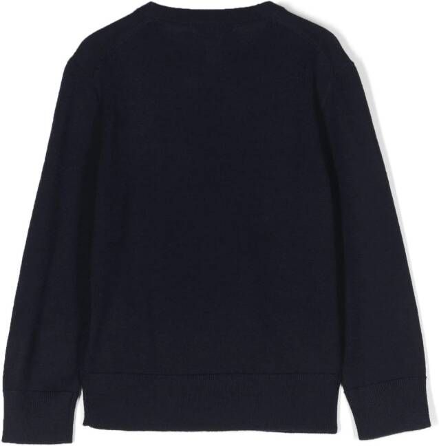 POLO RALPH LAUREN KIDS Fijngebreide trui Blauw