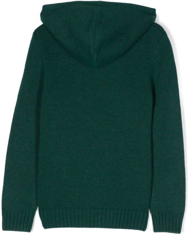 POLO RALPH LAUREN KIDS Hoodie met geborduurde vlag Groen