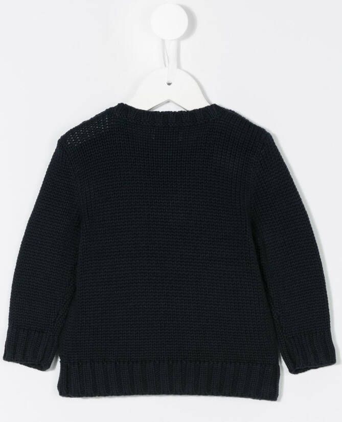 POLO RALPH LAUREN KIDS gebreid sweater met logo Blauw