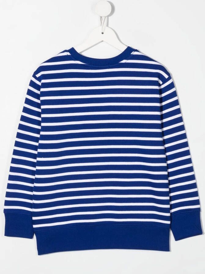 POLO RALPH LAUREN KIDS Gestreepte sweater Blauw