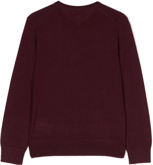 POLO RALPH LAUREN KIDS Katoenen trui Rood