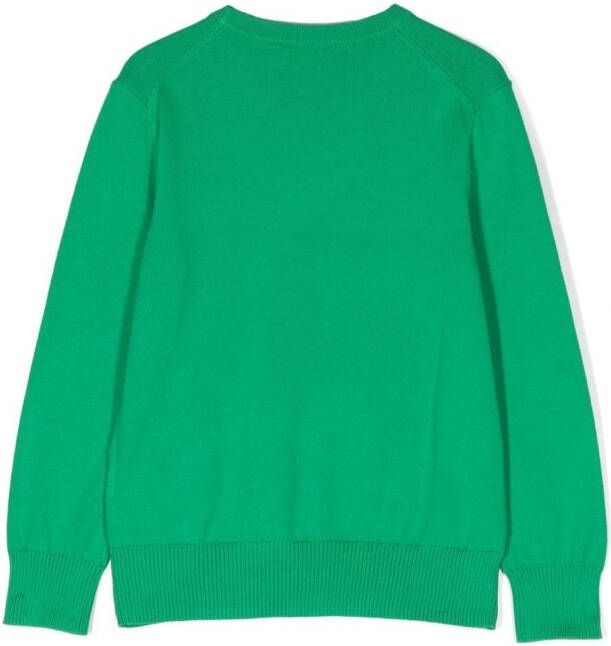 POLO RALPH LAUREN KIDS Sweater met logo Groen