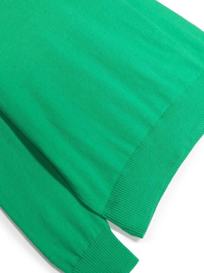 POLO RALPH LAUREN KIDS Sweater met logo Groen