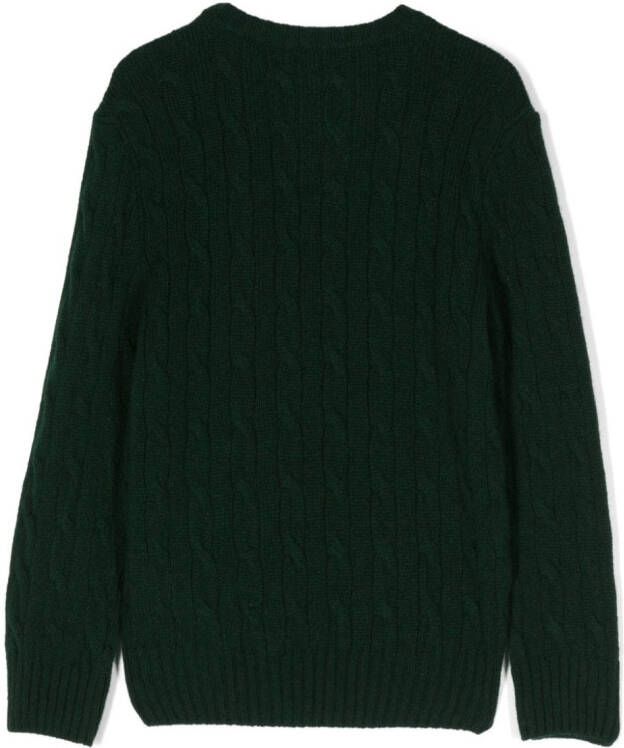 POLO RALPH LAUREN KIDS Trui met print Groen