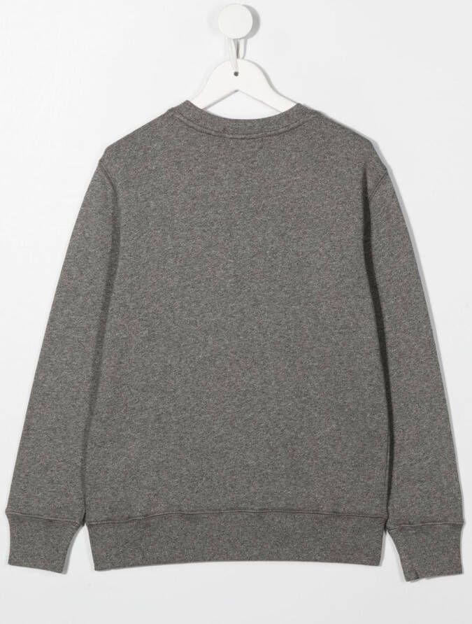 POLO RALPH LAUREN KIDS Sweater met logopatch Grijs