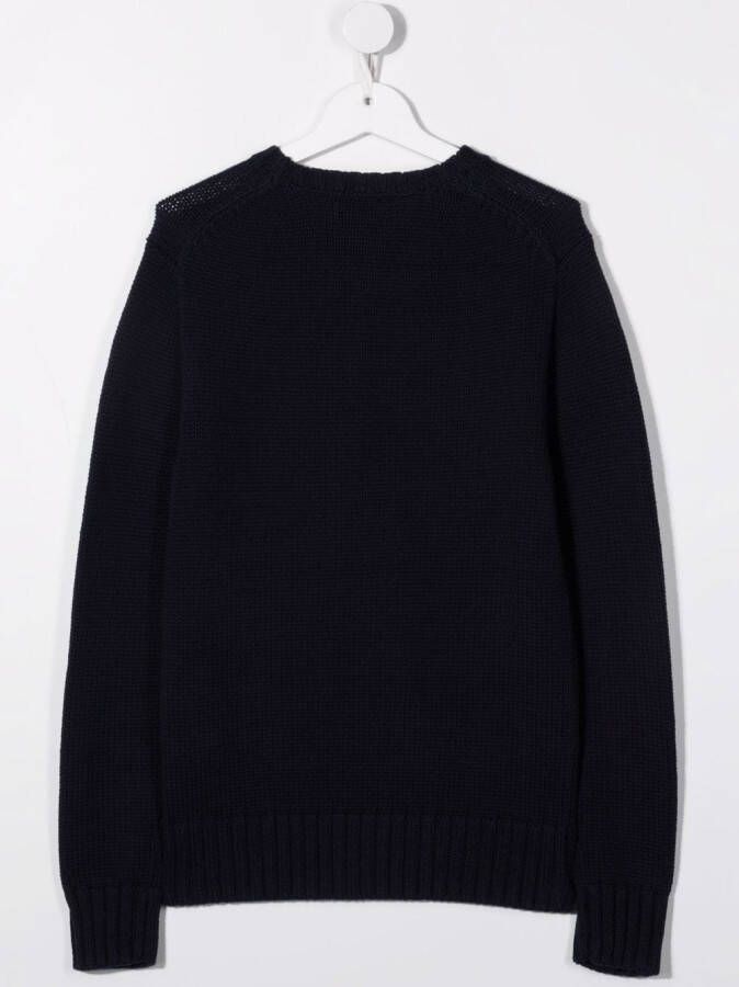 POLO RALPH LAUREN KIDS Trui met lange mouwen Blauw