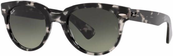 Ray-Ban Orion zonnebril met rond montuur Grijs