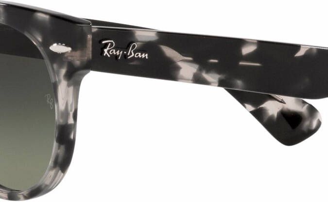 Ray-Ban Orion zonnebril met rond montuur Grijs