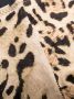 Reina Olga Bikini met luipaardprint Bruin - Thumbnail 3