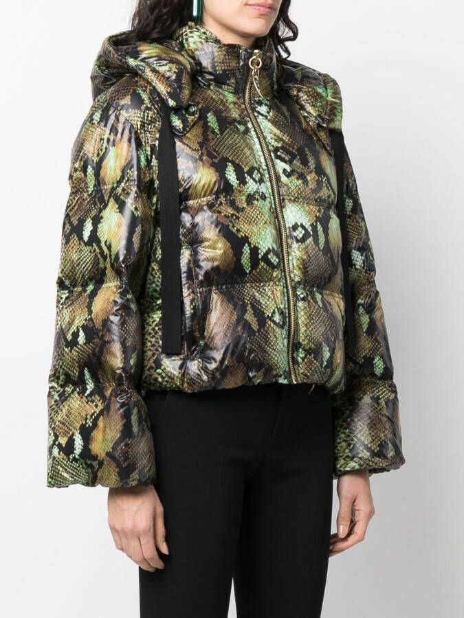 Roberto Cavalli Jack met slangenprint Groen