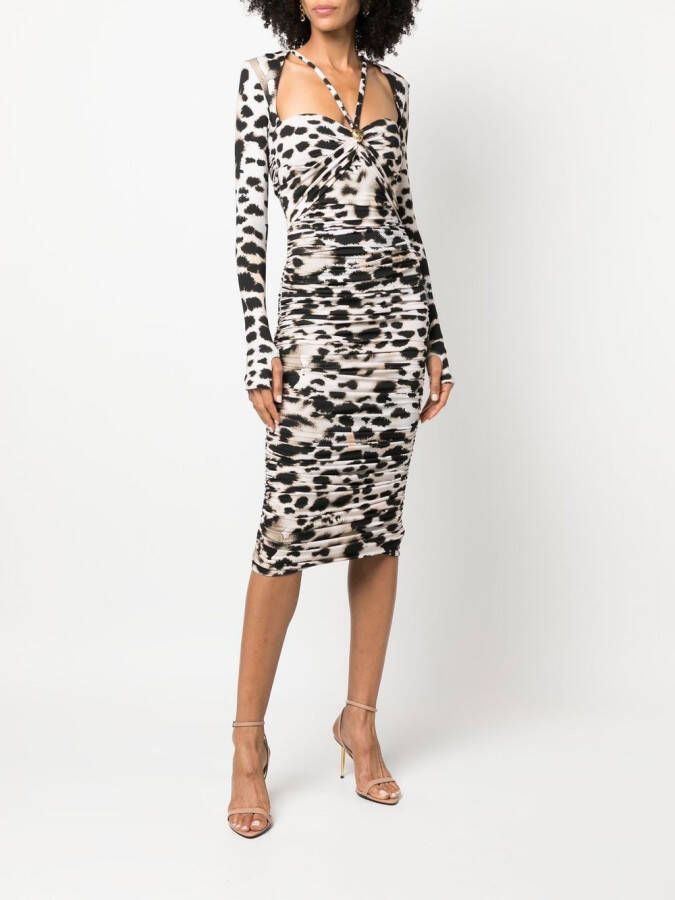 Roberto Cavalli Jurk met luipaardprint Beige