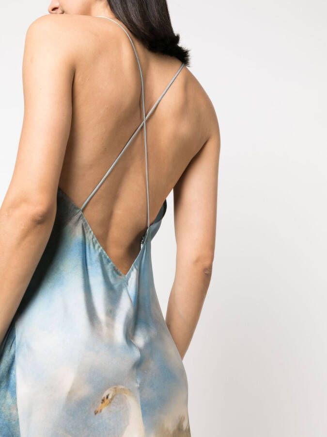 Roberto Cavalli Maxi-jurk met print Blauw