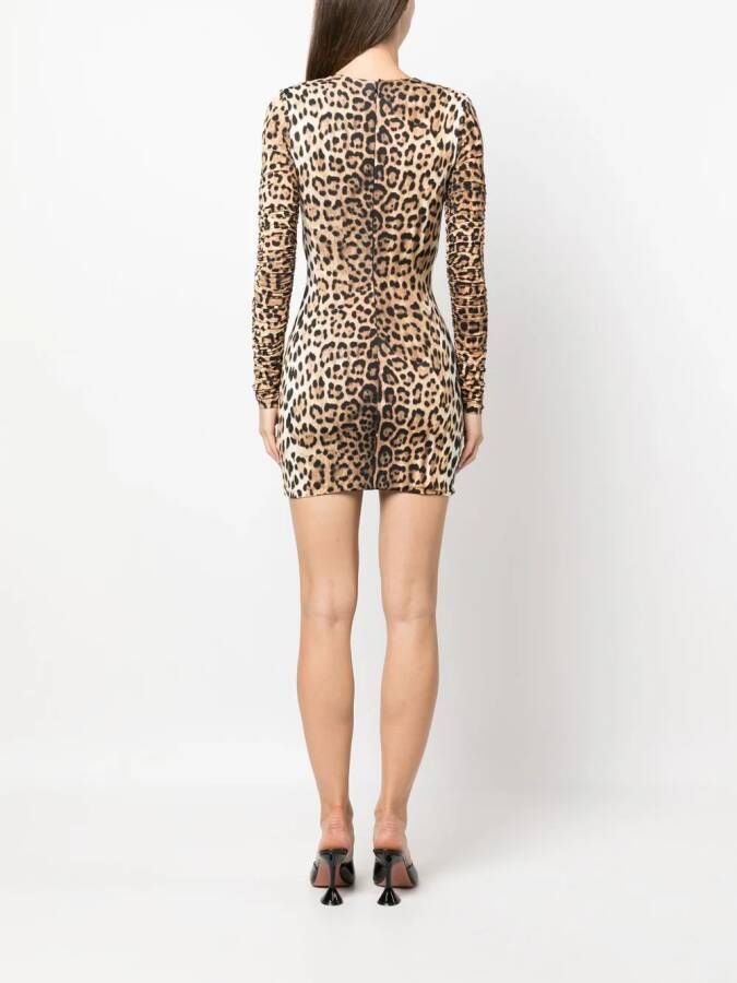 Roberto Cavalli Midi-jurk met luipaardprint Beige