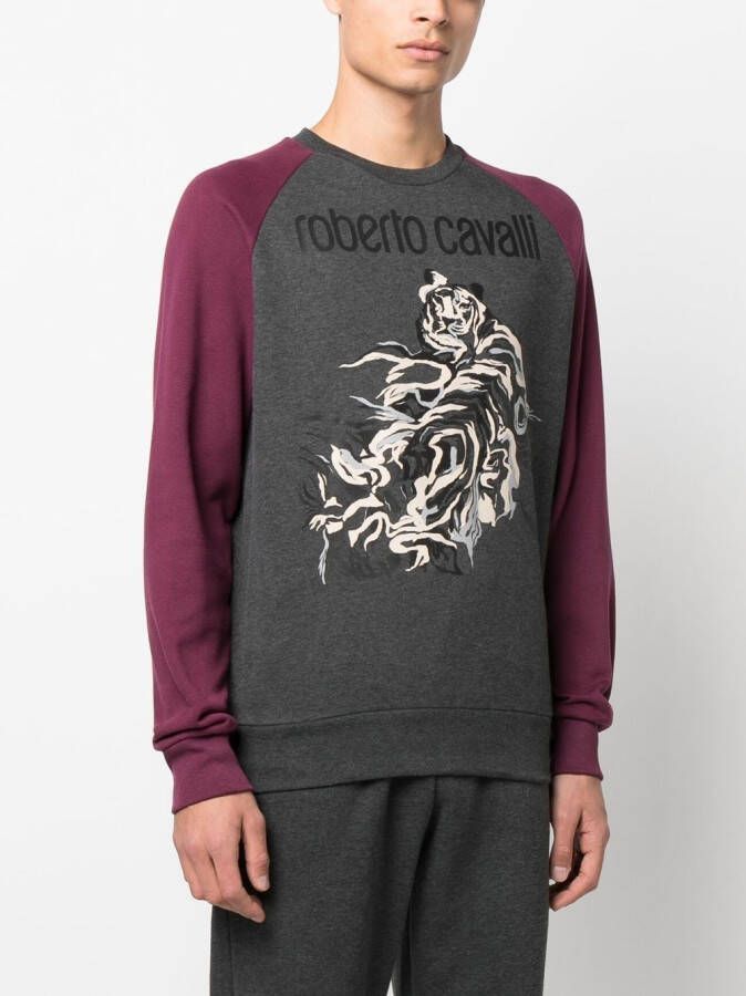 Roberto Cavalli Sweater met grafische print Grijs