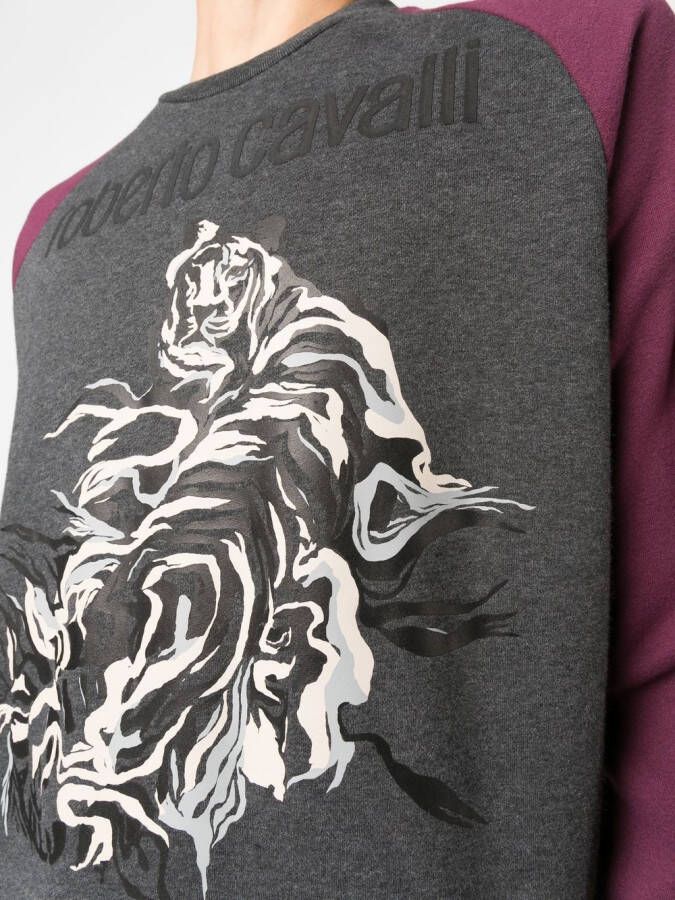 Roberto Cavalli Sweater met grafische print Grijs