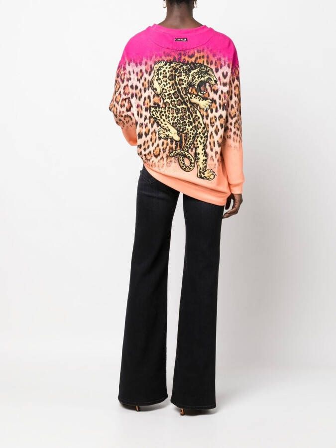 Roberto Cavalli Sweater met luipaardprint Oranje
