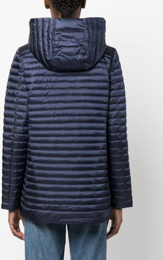 Save The Duck Gewatteerd jack Blauw