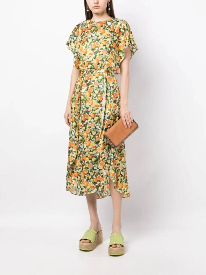 Stella McCartney Maxi-jurk met fruitprint Veelkleurig