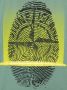 Stone Island Junior T-shirt met vingerprint Groen - Thumbnail 3
