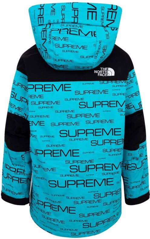 Supreme x The North Face Coldworks 700-fill fown parka Blauw
