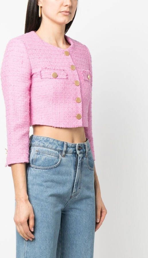 Tagliatore Tweed jack Roze