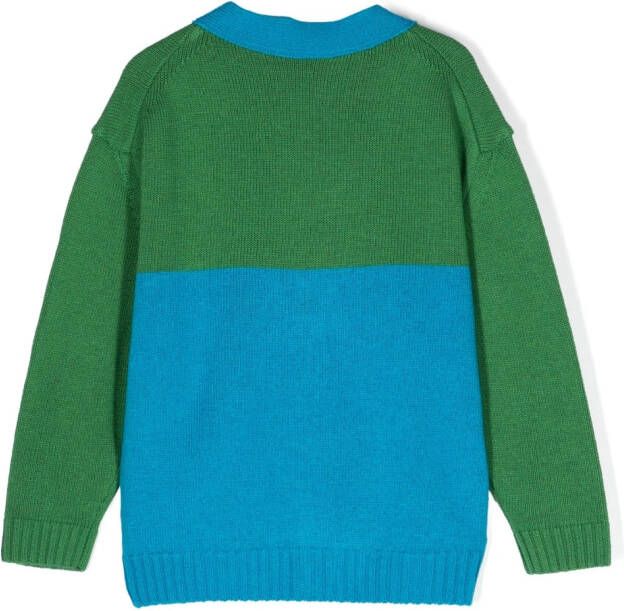 There Was One Kids Vest met colourblocking Groen