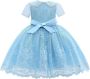 Tulleen Dolly jurk met geborduurd kant Blauw - Thumbnail 2