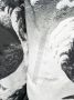 Valentino Garavani Jack met capuchon Zwart - Thumbnail 5