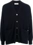 Extreme cashmere N°24 Tokio gebreid vest Blauw - Thumbnail 1
