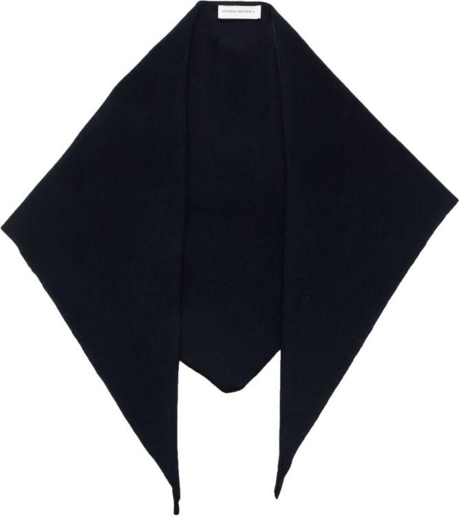 Extreme cashmere Kasjmier sjaal Blauw