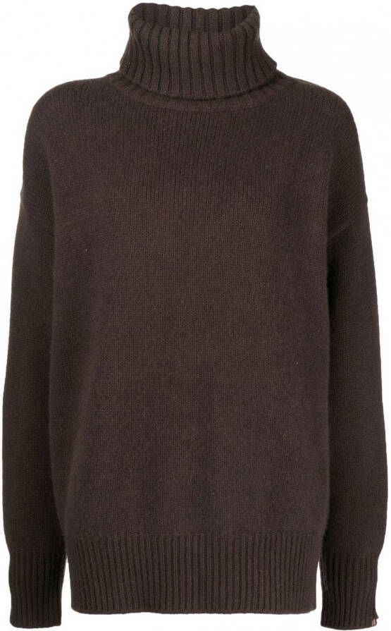 Extreme cashmere Kasjmier trui Bruin
