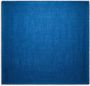 Ferragamo Sjaal met logoprint Blauw - Thumbnail 1