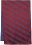 Ferrari Sjaal met borduurwerk Blauw - Thumbnail 1