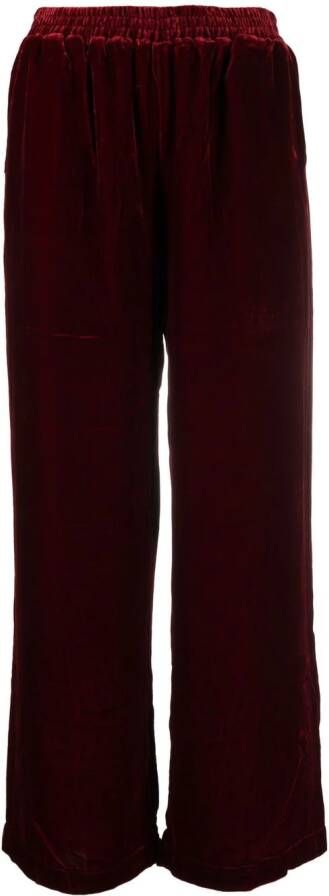 Gold Hawk Fluwelen broek Rood