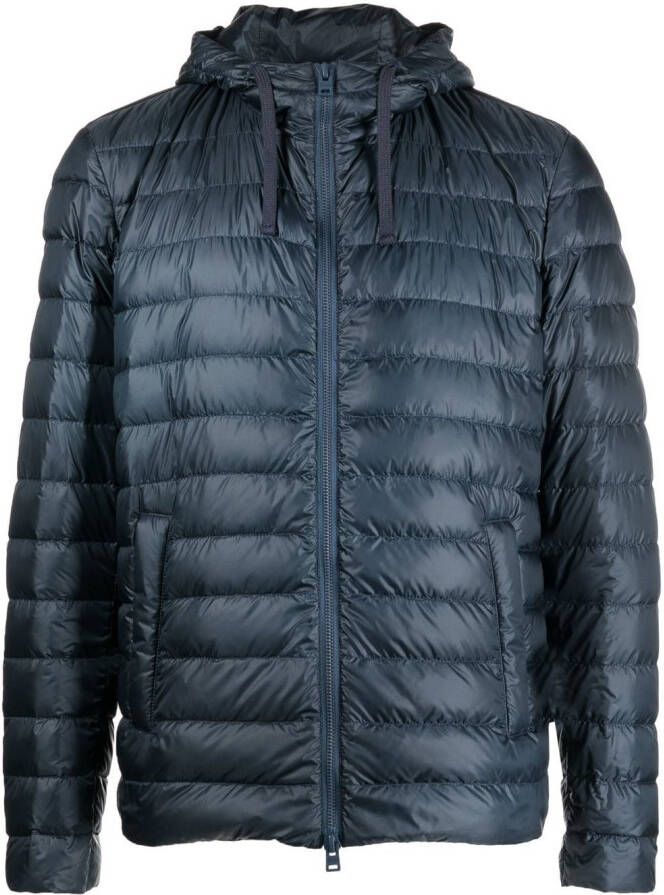 Herno Gewatteerd jack Blauw
