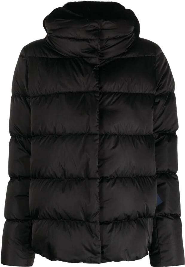 Herno Donsjack met capuchon Zwart