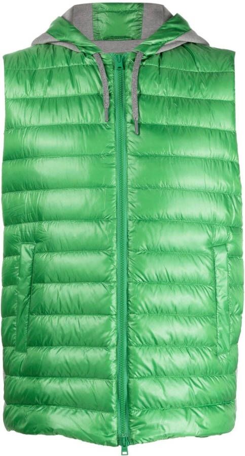Herno Bodywarmer met capuchon Groen