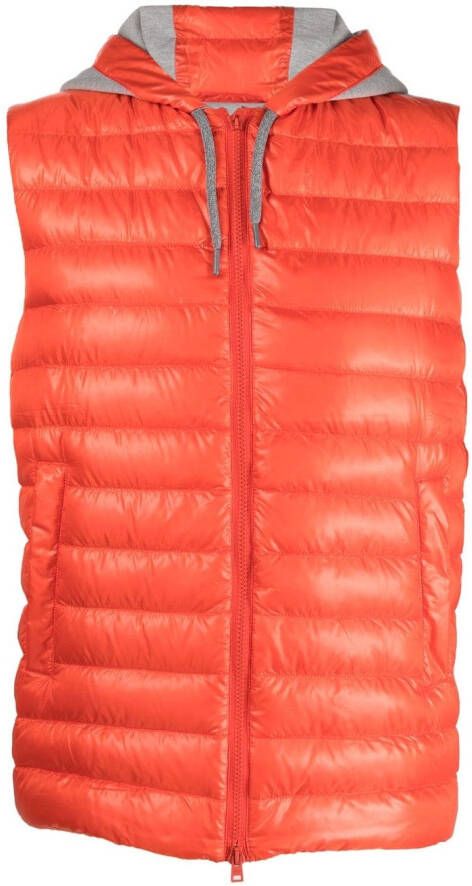 Herno Bodywarmer met capuchon Oranje