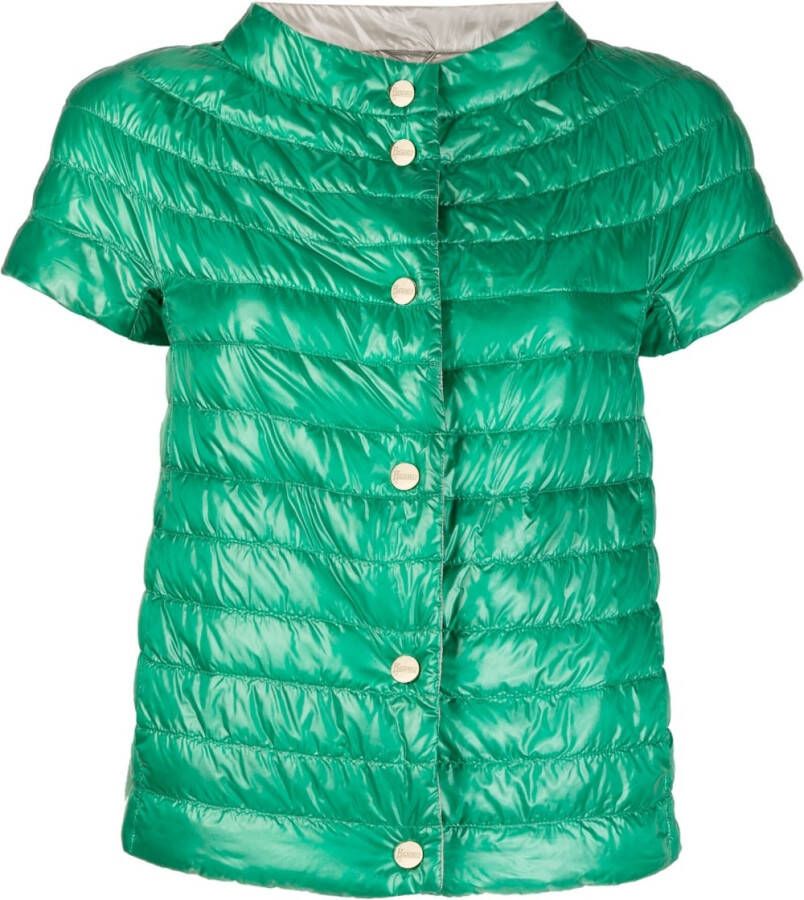 Herno Jack met korte mouwen Groen