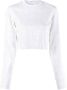 Iceberg Cropped top Wit - Thumbnail 1