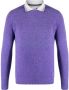 Jacob Cohën Sweater met polokraag Paars - Thumbnail 1