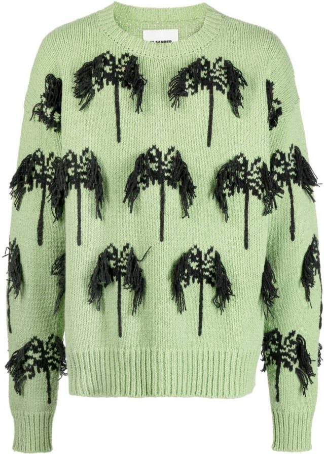 Jil Sander Intarsia trui Groen