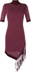 Jonathan Simkhai fringe-detail pointelle dress Rood
