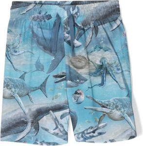 Molo Shorts met print Blauw
